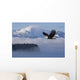 Bald Eagle Wall Mural