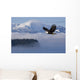 Bald Eagle Wall Mural