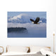 Bald Eagle Wall Mural