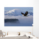 Bald Eagle Wall Mural
