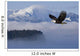 Bald Eagle Wall Mural