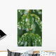 Close-Up Horsetail With Dew Drops Dawn Southcentral Ak/Nsummer Wall Mural