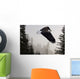 Bald Eagle Soars Through Mist In The Tongass National Forest Wall Mural