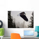 Bald Eagle Soars Through Mist In The Tongass National Forest Wall Mural
