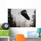 Bald Eagle Soars Through Mist In The Tongass National Forest Wall Mural