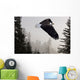 Bald Eagle Soars Through Mist In The Tongass National Forest Wall Mural