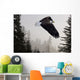 Bald Eagle Soars Through Mist In The Tongass National Forest Wall Mural