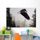 Bald Eagle Soars Through Mist In The Tongass National Forest Wall Mural