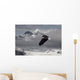 Bald Eagle Soars Above The Snow And Ice Of Mendenhall Glacier Wall Mural