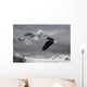 Bald Eagle Soars Above The Snow And Ice Of Mendenhall Glacier Wall Mural