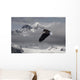 Bald Eagle Soars Above The Snow And Ice Of Mendenhall Glacier Wall Mural