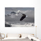 Bald Eagle Soars Above The Snow And Ice Of Mendenhall Glacier Wall Mural