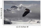 Bald Eagle Soars Above The Snow And Ice Of Mendenhall Glacier Wall Mural
