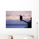 Bald Eagle Perched Wall Mural