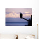 Bald Eagle Perched Wall Mural