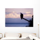 Bald Eagle Perched Wall Mural