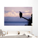 Bald Eagle Perched Wall Mural