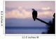 Bald Eagle Perched Wall Mural