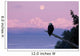 A Bald Eagle Perched On A Branch With The Moon Set At Sunrise Wall Mural