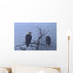 Bald Eagles Perched Wall Mural