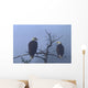 Bald Eagles Perched Wall Mural