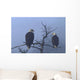 Bald Eagles Perched Wall Mural