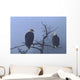 Bald Eagles Perched Wall Mural