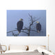 Bald Eagles Perched Wall Mural