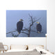 Bald Eagles Perched Wall Mural