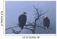Bald Eagles Perched Wall Mural