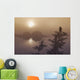 Bald Eagle Perched Wall Mural