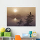 Bald Eagle Perched Wall Mural