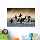 Canada Geese Take Flight On A Misty Winter Morning In Sub Zero Temps Wall Mural
