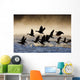Canada Geese Take Flight On A Misty Winter Morning In Sub Zero Temps Wall Mural