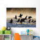 Canada Geese Take Flight On A Misty Winter Morning In Sub Zero Temps Wall Mural