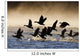 Canada Geese Take Flight On A Misty Winter Morning In Sub Zero Temps Wall Mural