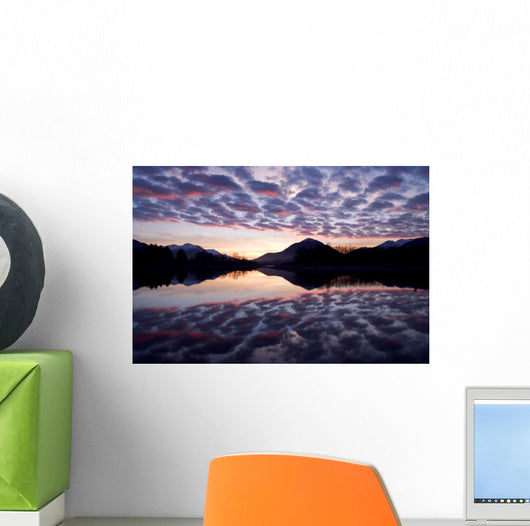 Castellanus Clouds Form Sunrise Wall Decal