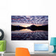 Castellanus Clouds Form Sunrise Wall Decal