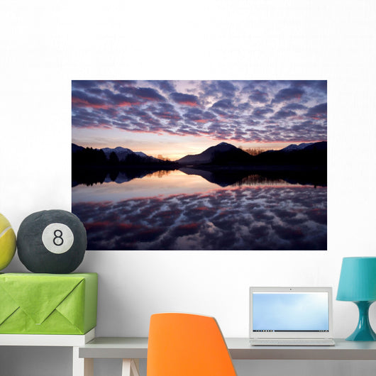Castellanus Clouds Form Sunrise Wall Decal