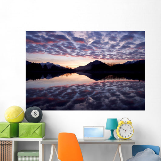 Castellanus Clouds Form Sunrise Wall Decal