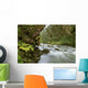 Small River Flowing Through The Old Growth Forest Wall Mural