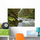 Small River Flowing Through The Old Growth Forest Wall Mural