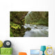 Small River Flowing Through The Old Growth Forest Wall Mural