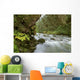 Small River Flowing Through The Old Growth Forest Wall Mural