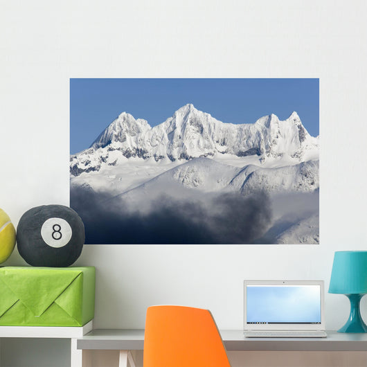 Dense Fog Burns off Wall Decal