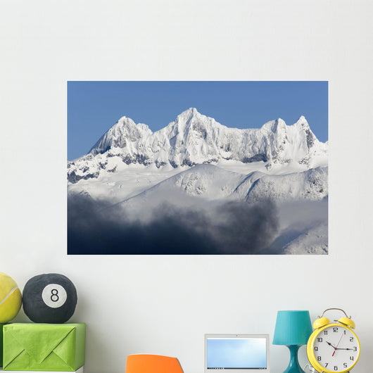 Dense Fog Burns off Wall Decal