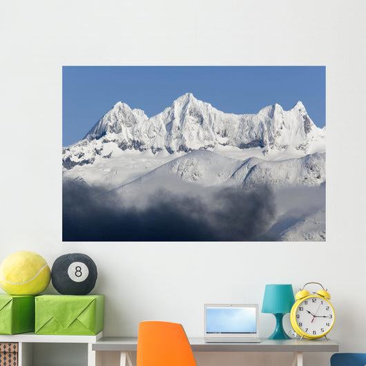 Dense Fog Burns off Wall Decal