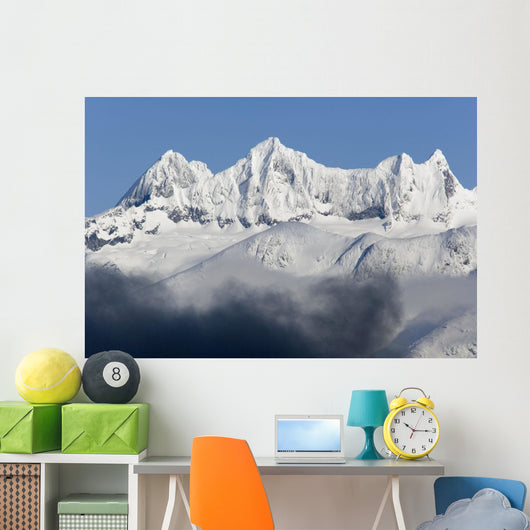 Dense Fog Burns off Wall Decal