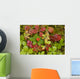 Dwarf Dogwood Growing From A Bed Of Dense Mosses Wall Mural