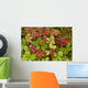 Dwarf Dogwood Growing From A Bed Of Dense Mosses Wall Mural